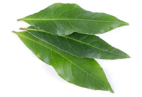 NEOflorax conține frunze de dafin